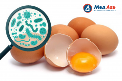 Как уберечься от сальмонеллеза и что делать при заражении?