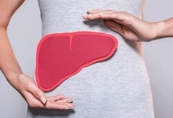 Гепатит А – болезнь Боткина. Симптомы, анализы, полезные советы