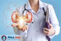 Самые распространенные болезни почек